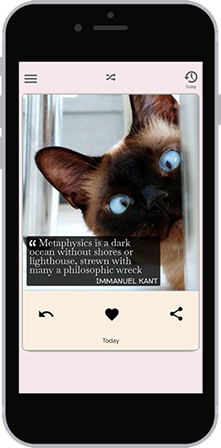app demo
